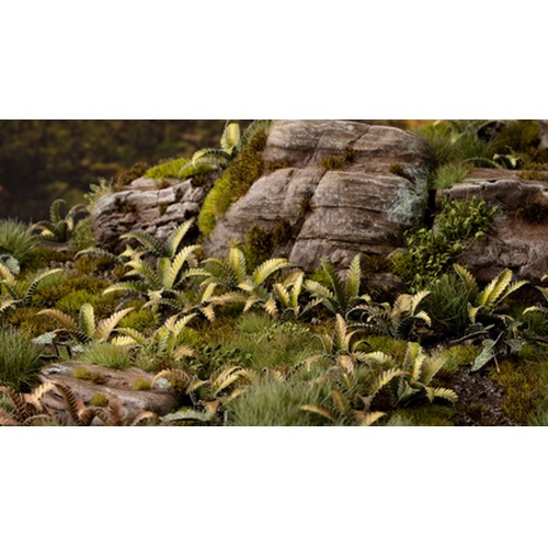 Gamers Grass: Laser Plants -  Deer Fern - Podrzeń żebrowiec