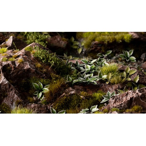 Gamers Grass: Laser Plants - Plantain Lily - Funkia