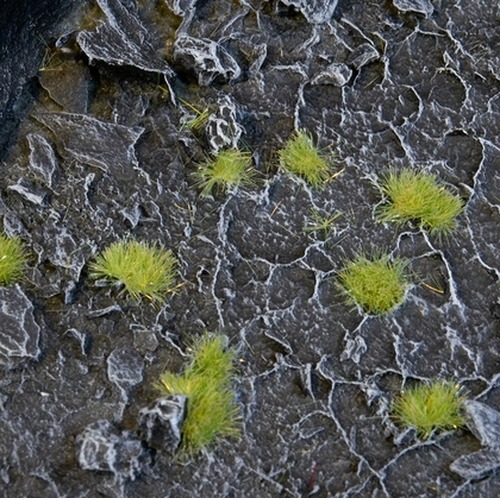 Gamers Grass: Special tufts - 2 mm - Light Green (Tiny)