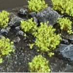 Gamers Grass: Special tufts - 6 mm - Green Shrub (Wild)