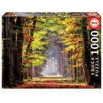 Puzzle 1000 el. Jesienny spacer