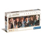 Puzzle 1000 elementów Panorama Harry Potter
