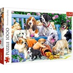 Puzzle 1000 elementów - Psy w ogrodzie