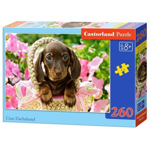 Puzzle 260 elementów - Uroczy jamnik