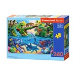 Puzzle 260 Wild Nature CASTOR