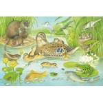 Puzzle 3 x 48 el. Zwierzęca rodzinka