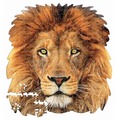 Puzzle 367 el. Lew