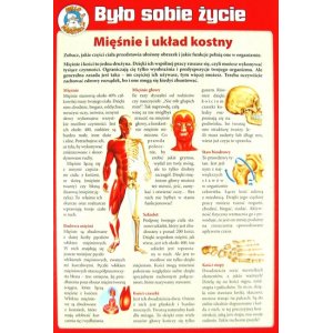 Puzzle Było sobie życie - Mięśnie i układ kostny + DVD