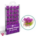 Scale 75: Flower Power - Purple Flowers