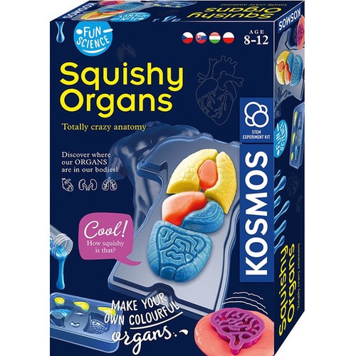 Zestaw naukowy Fun Scienc-Squishy Organs